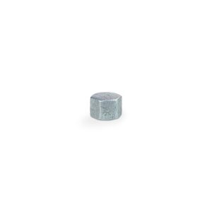 Hexagon Caps Beaded (FIG NO. 300) — Malleable Iron Pipe Fitting